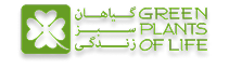 فروشگاه مواد غذایی ارگانیک سلامتکده